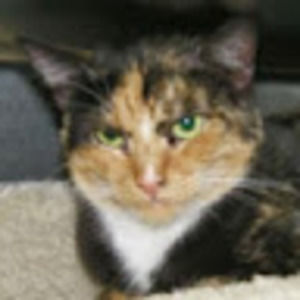 Meet your Posher, Dena